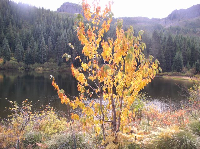 Tom Dick and Harry Peak 014 